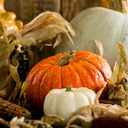 Autumn Decor and Home Maintenance Ideas