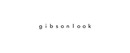 Gibsonlook brand logo for reviews of online shopping for Fashion products