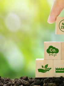 Simple ways to be more eco friendly