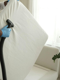 The Heat Solution as an Effective Bed Bug Treatment