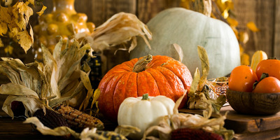 Autumn Decor and Home Maintenance Ideas