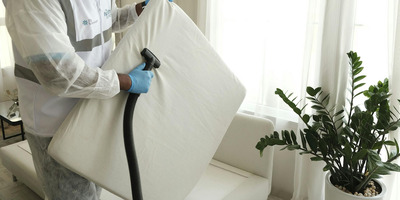 The Heat Solution as an Effective Bed Bug Treatment