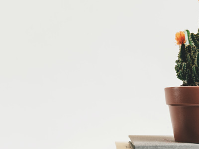 Wooden Plant Stand Vs. Metal Plant Stand