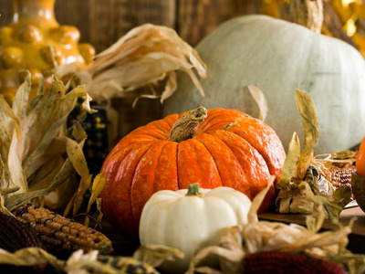 Autumn Decor and Home Maintenance Ideas
