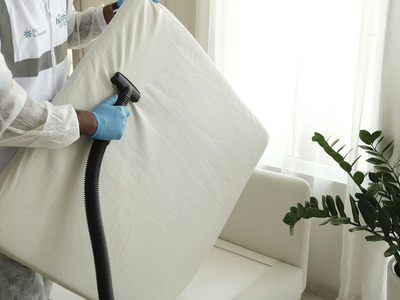 The Heat Solution as an Effective Bed Bug Treatment