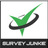 Survey Junkie