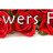 Flowers Fast