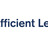 Wiley Efficient Learning