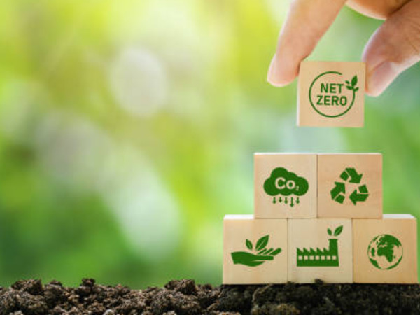 thumbnail of Simple ways to be more eco friendly